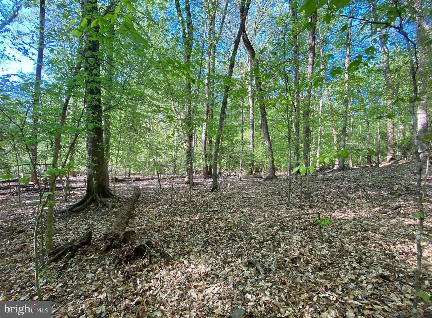 Hidden Valley Road Accokeek, MD 20607 - Photo 2 of 23 a view of outdoor space and tree