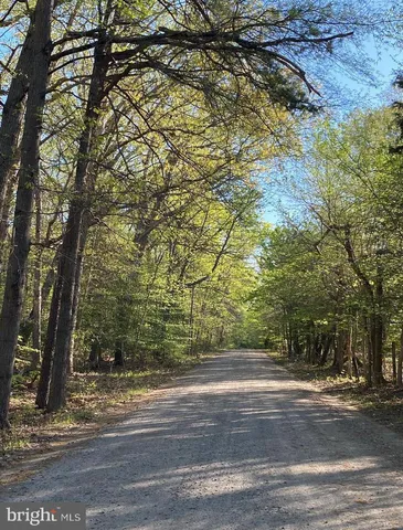 a view of a yard with a trees
