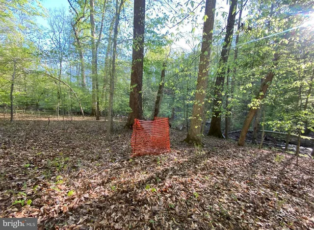 a view of a backyard with trees