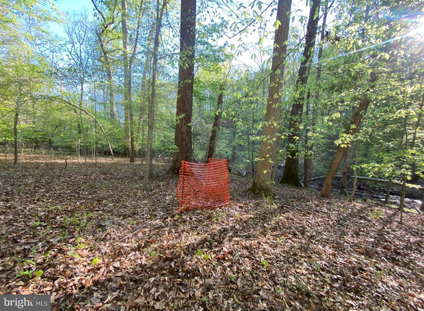 Hidden Valley Road Accokeek, MD 20607 - Photo 7 of 23 a view of a backyard with trees