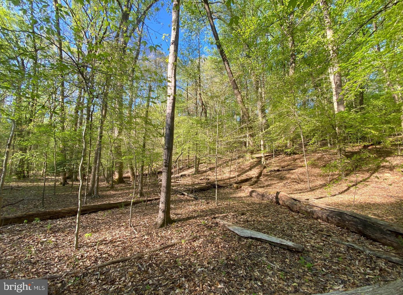 Hidden Valley Road Accokeek, MD 20607 - Photo 9 of 23 a backyard of a house with lots of green space