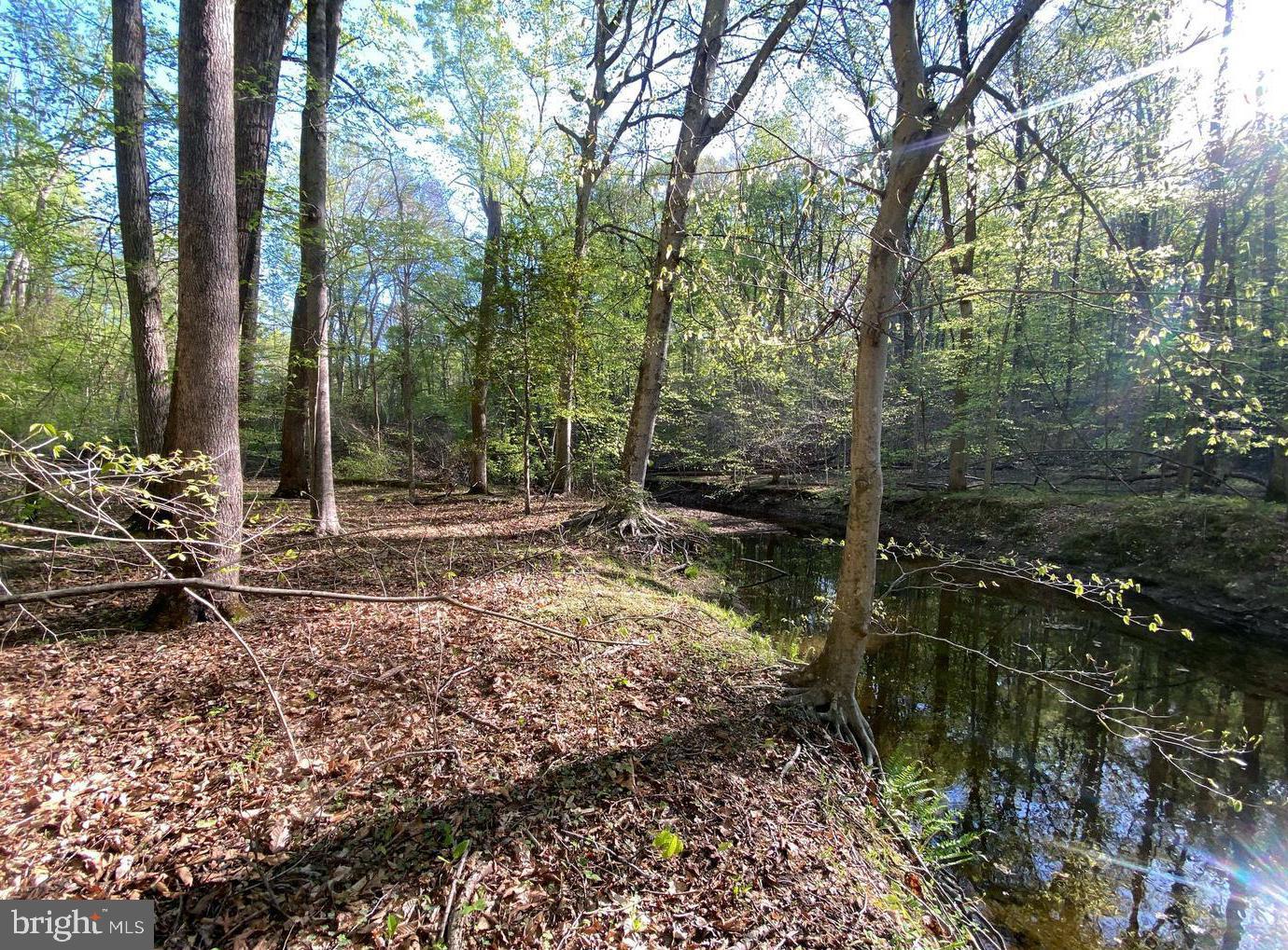 Hidden Valley Road Accokeek, MD 20607 - Photo 10 of 23 a backyard of a house with lots of green space