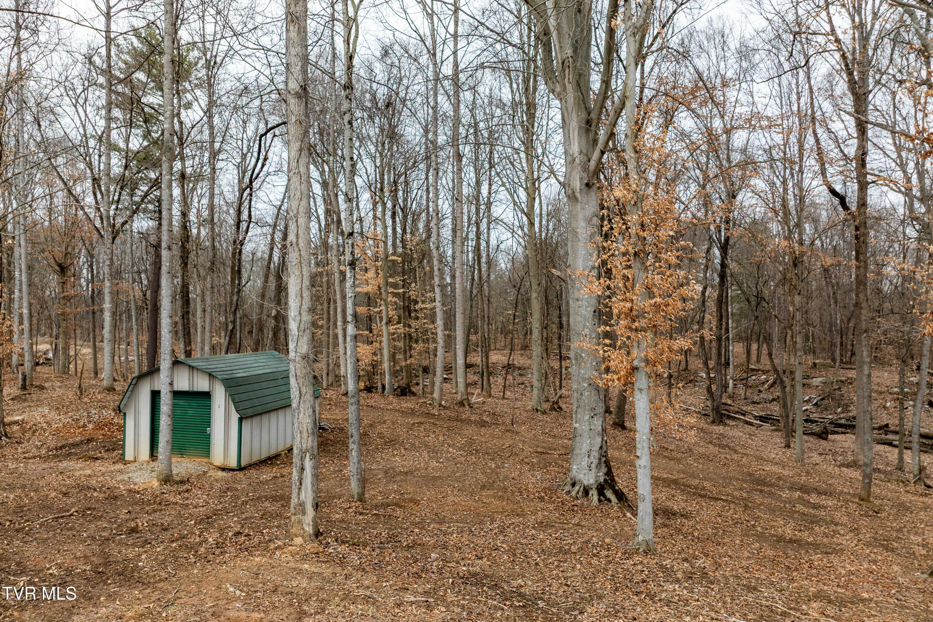 2920 Antioch Road Johnson City, TN 37604 - Photo 60 of 95 2920 Antioch Rd (23 of 96)