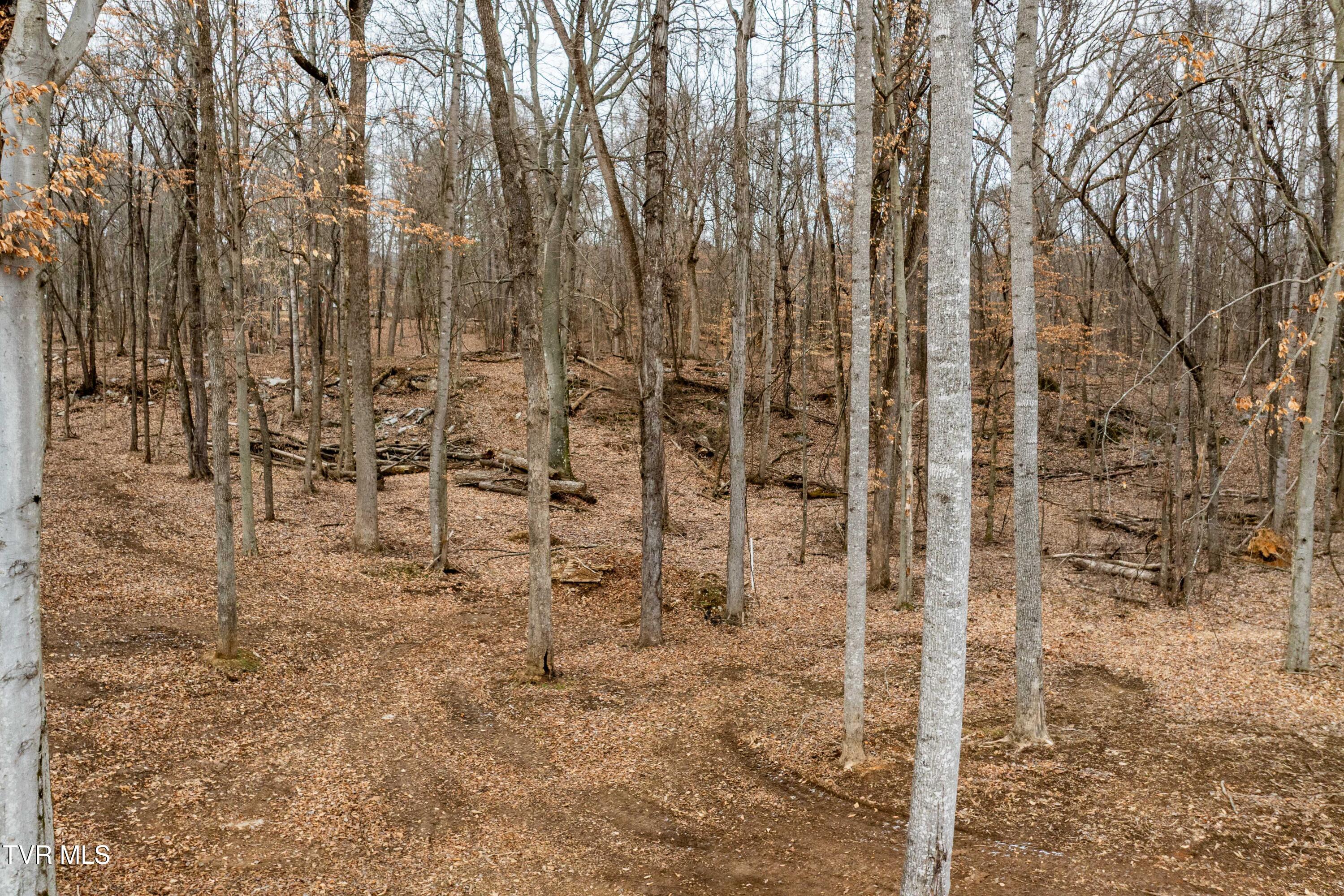 2920 Antioch Road Johnson City, TN 37604 - Photo 61 of 95 2920 Antioch Rd (24 of 96)