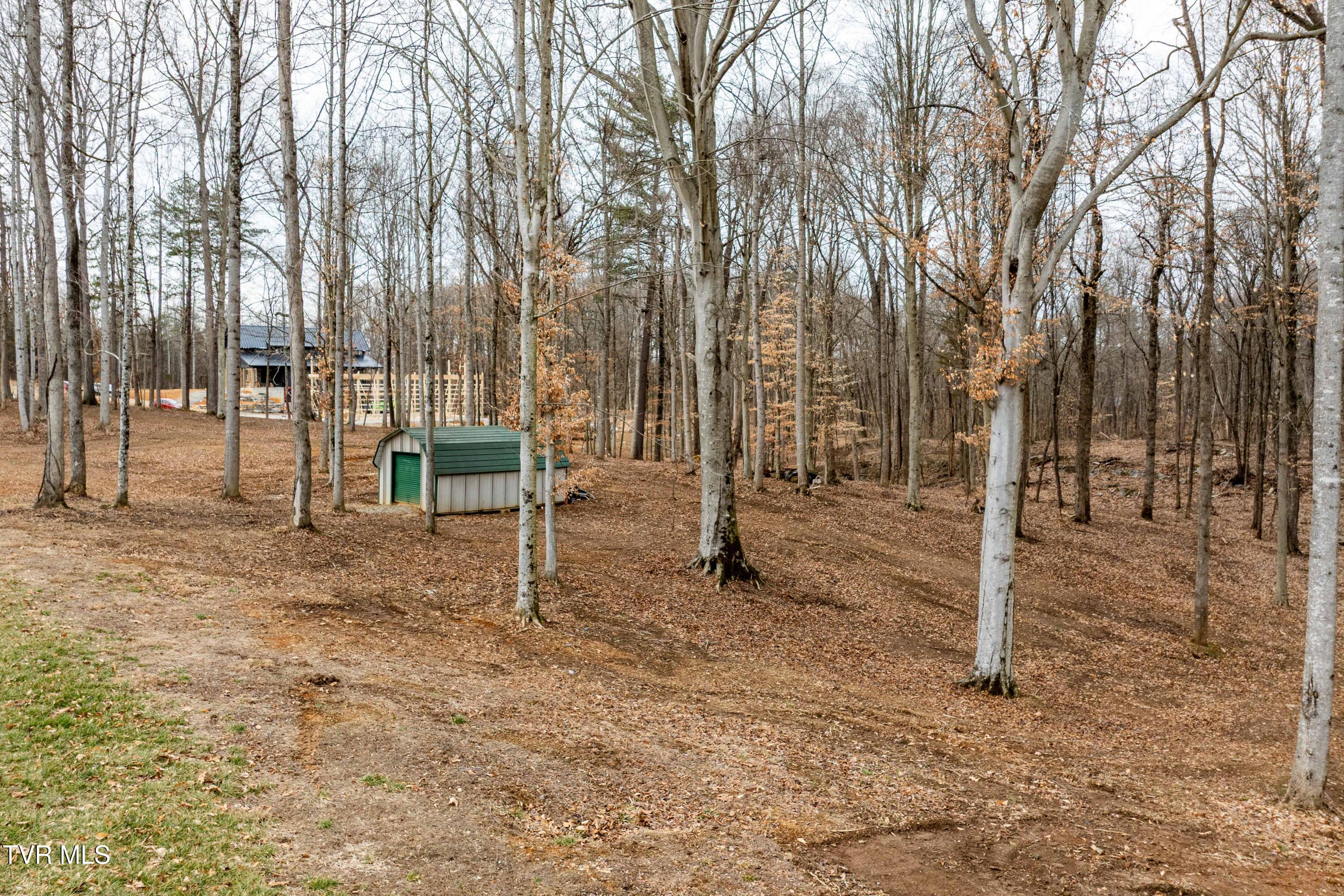 2920 Antioch Road Johnson City, TN 37604 - Photo 62 of 95 2920 Antioch Rd (25 of 96)