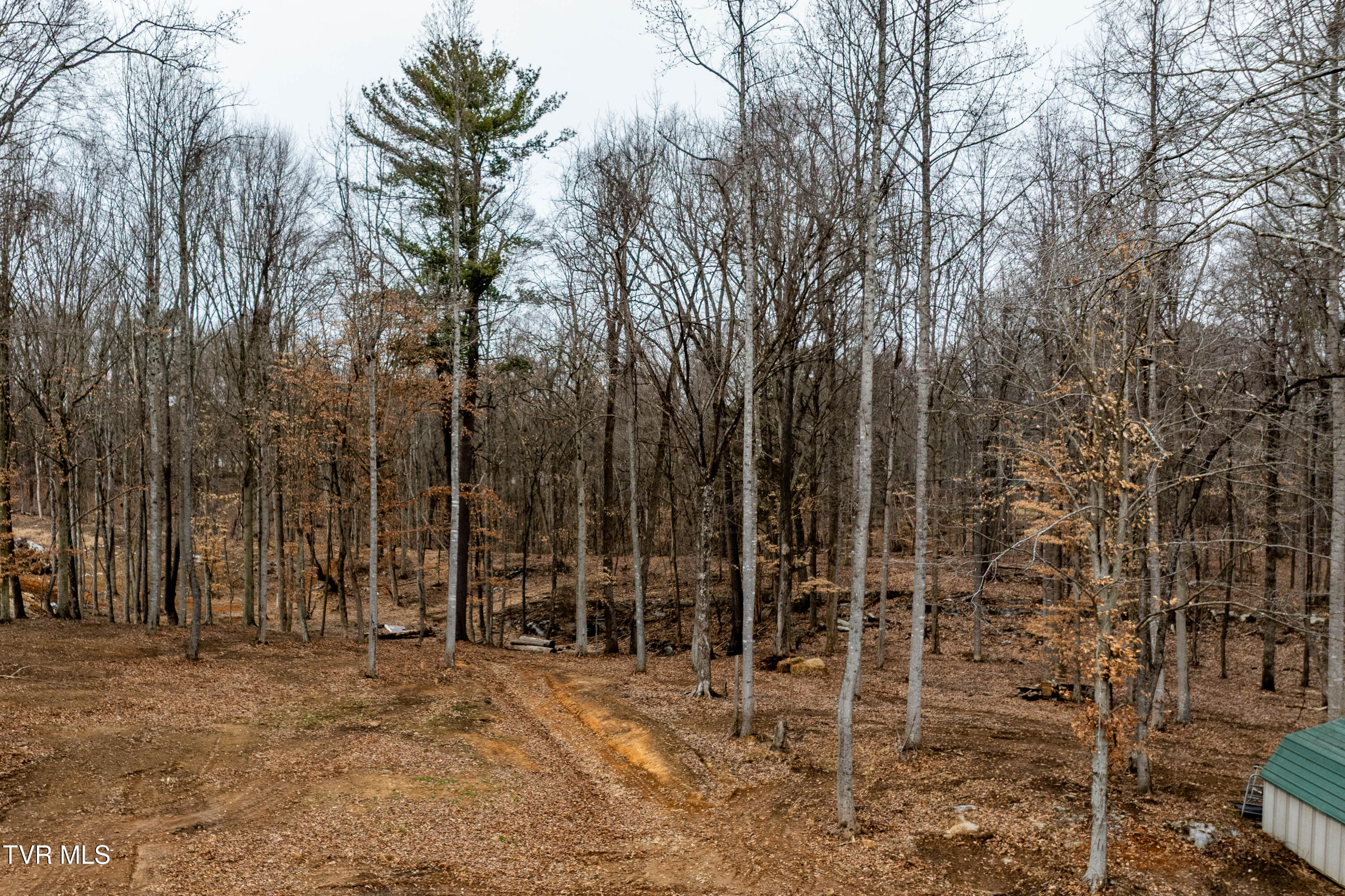 2920 Antioch Road Johnson City, TN 37604 - Photo 64 of 95 2920 Antioch Rd (27 of 96)