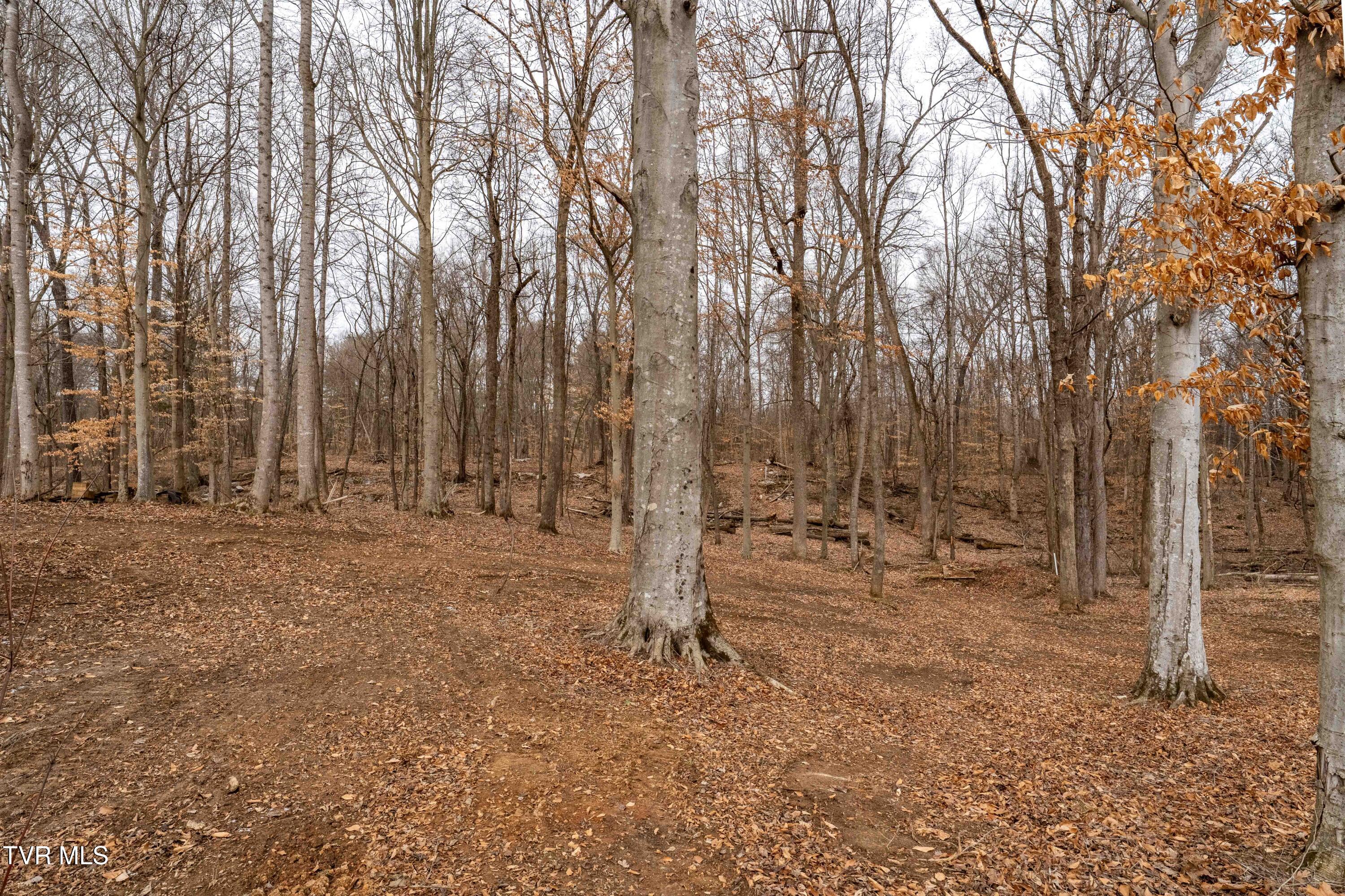 2920 Antioch Road Johnson City, TN 37604 - Photo 93 of 95 2920 Antioch Rd (60 of 96)