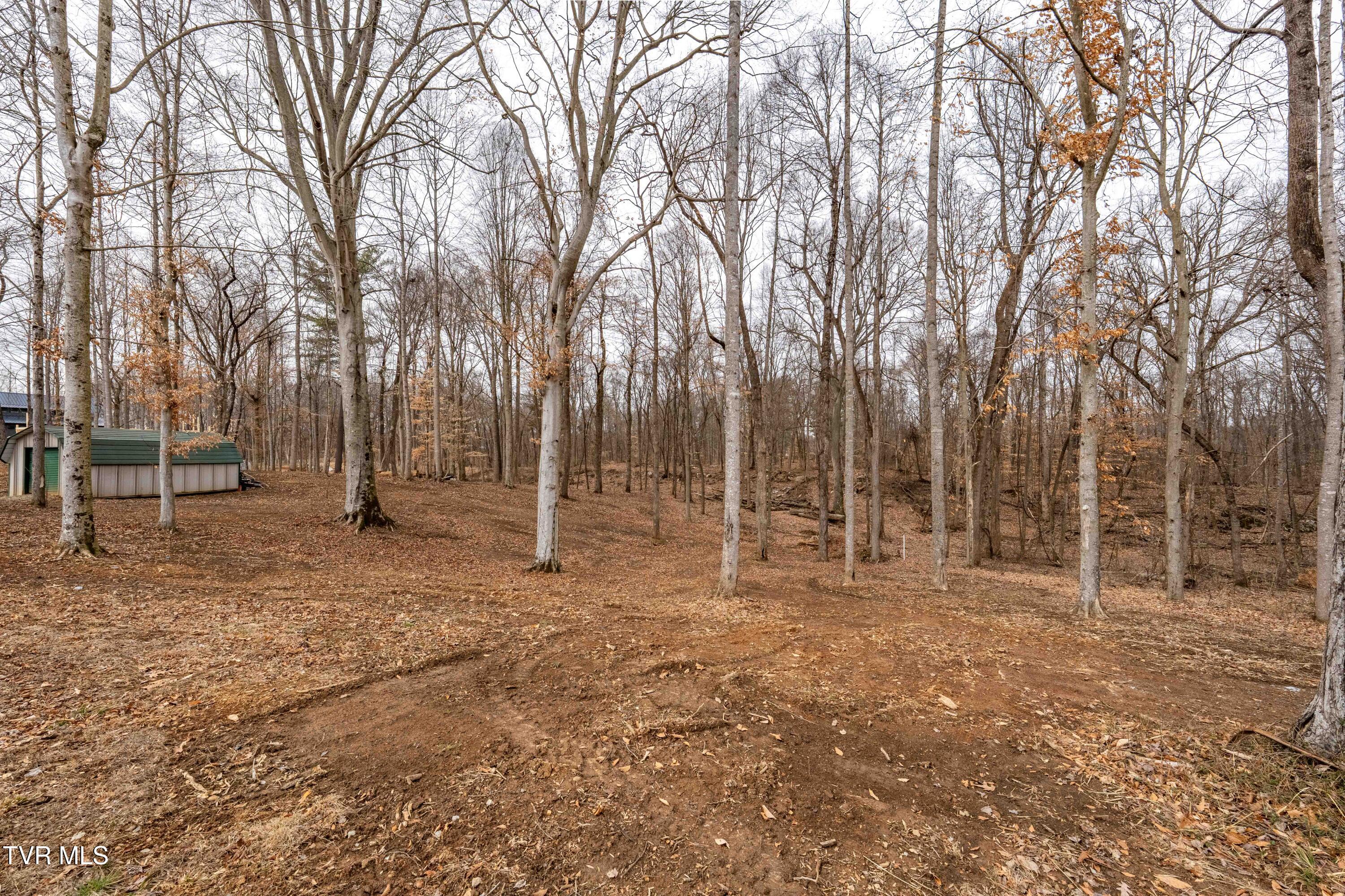 2920 Antioch Road Johnson City, TN 37604 - Photo 94 of 95 2920 Antioch Rd (61 of 96)