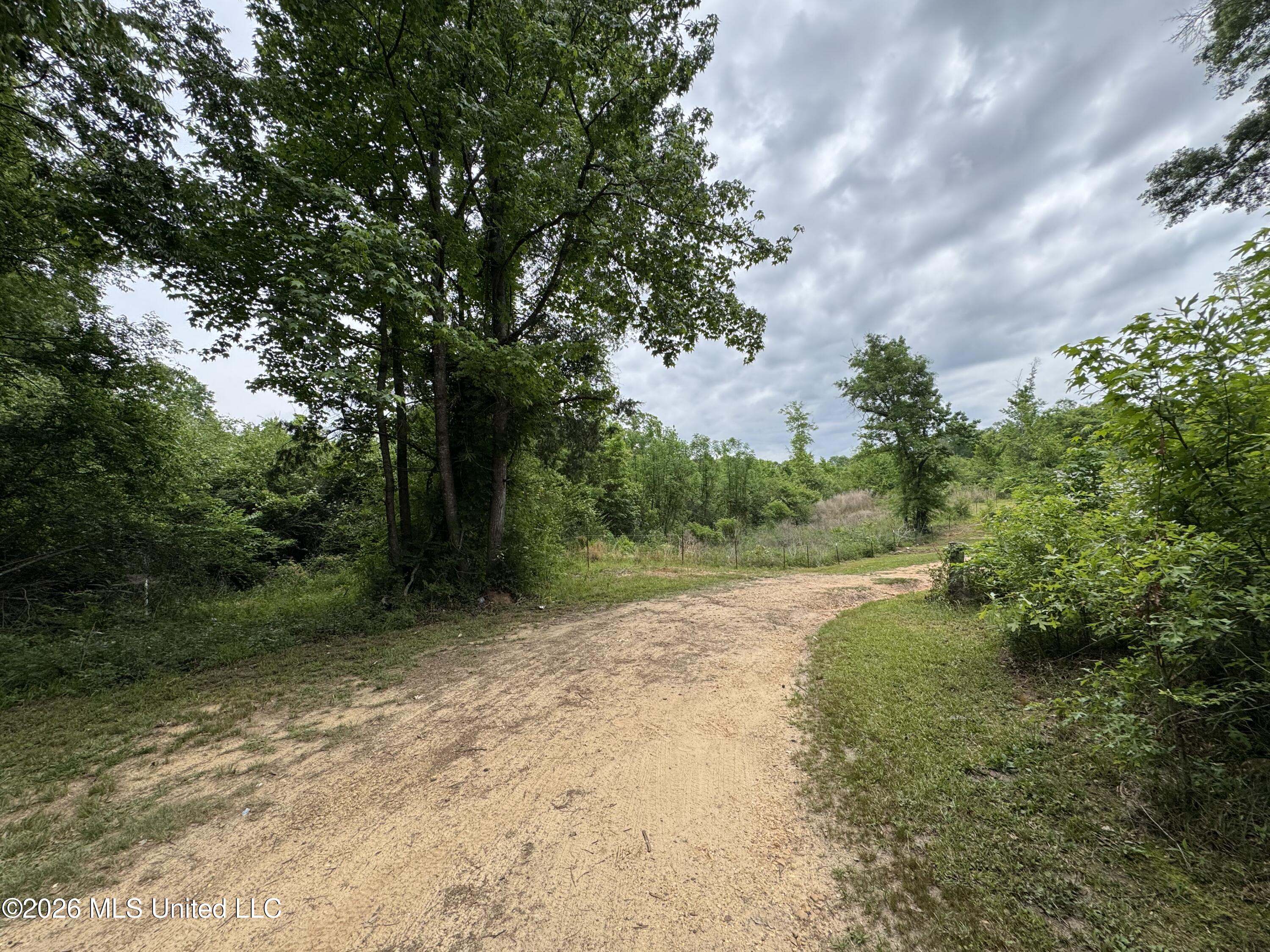 0 Miller Lane Summit, MS 39666 - Photo 2 of 3 IMG_0910