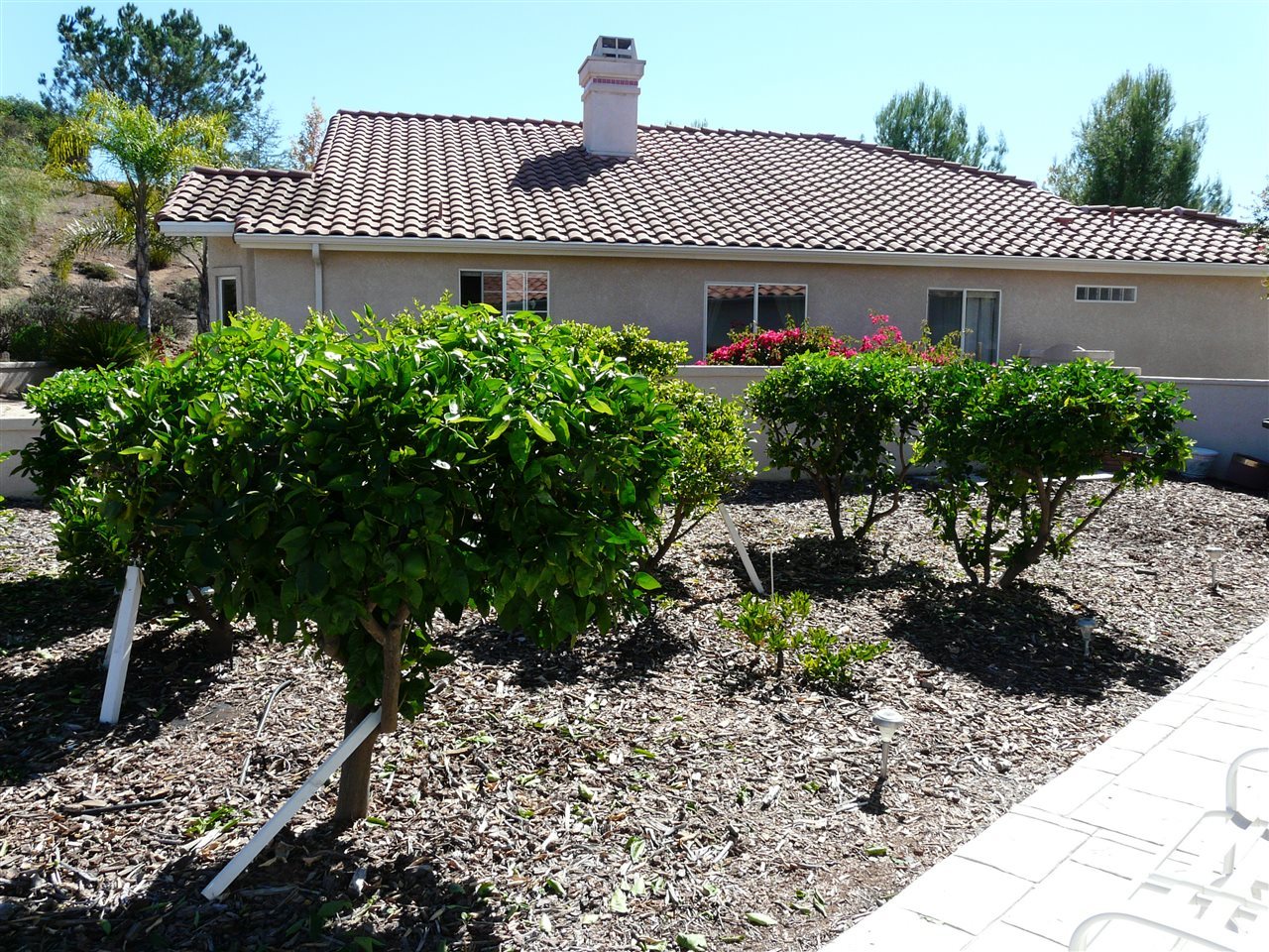 2690 Columbine Road Alpine, CA 91901 - Photo 22 of 23