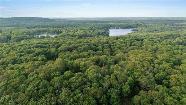 an aerial view of residential houses with outdoor space and trees