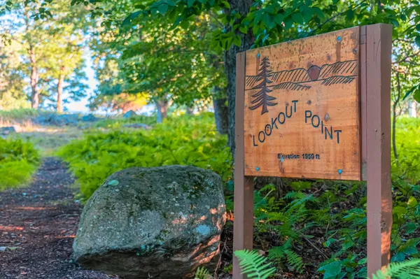 a view of a bench in a backyard