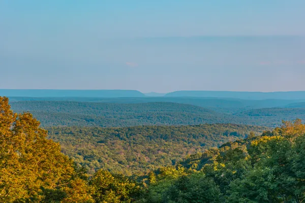 a view of a tennis court