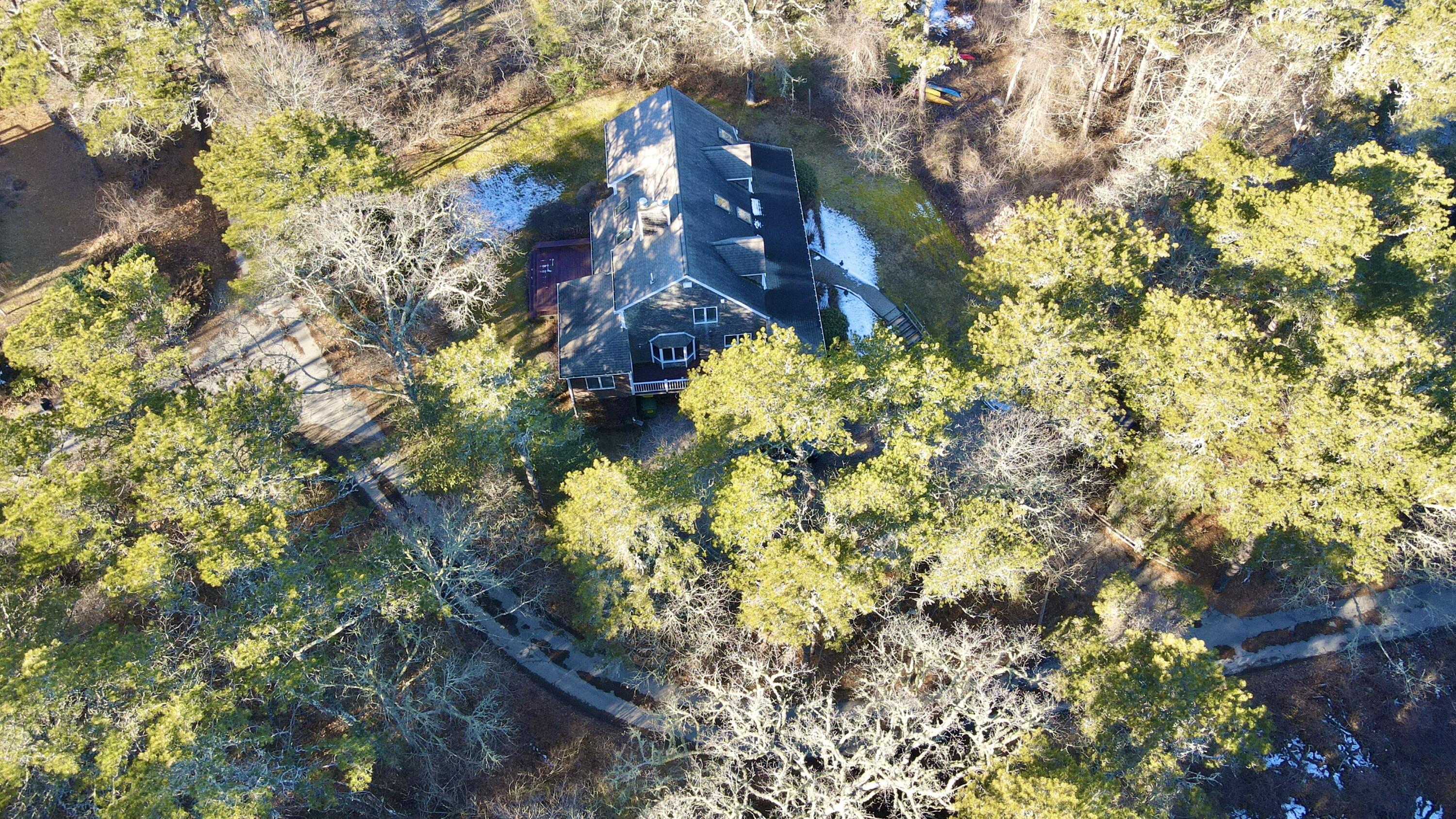 40 Chestnut Drive Orleans, MA 02653 - Photo 35 of 40 a picture of flowers