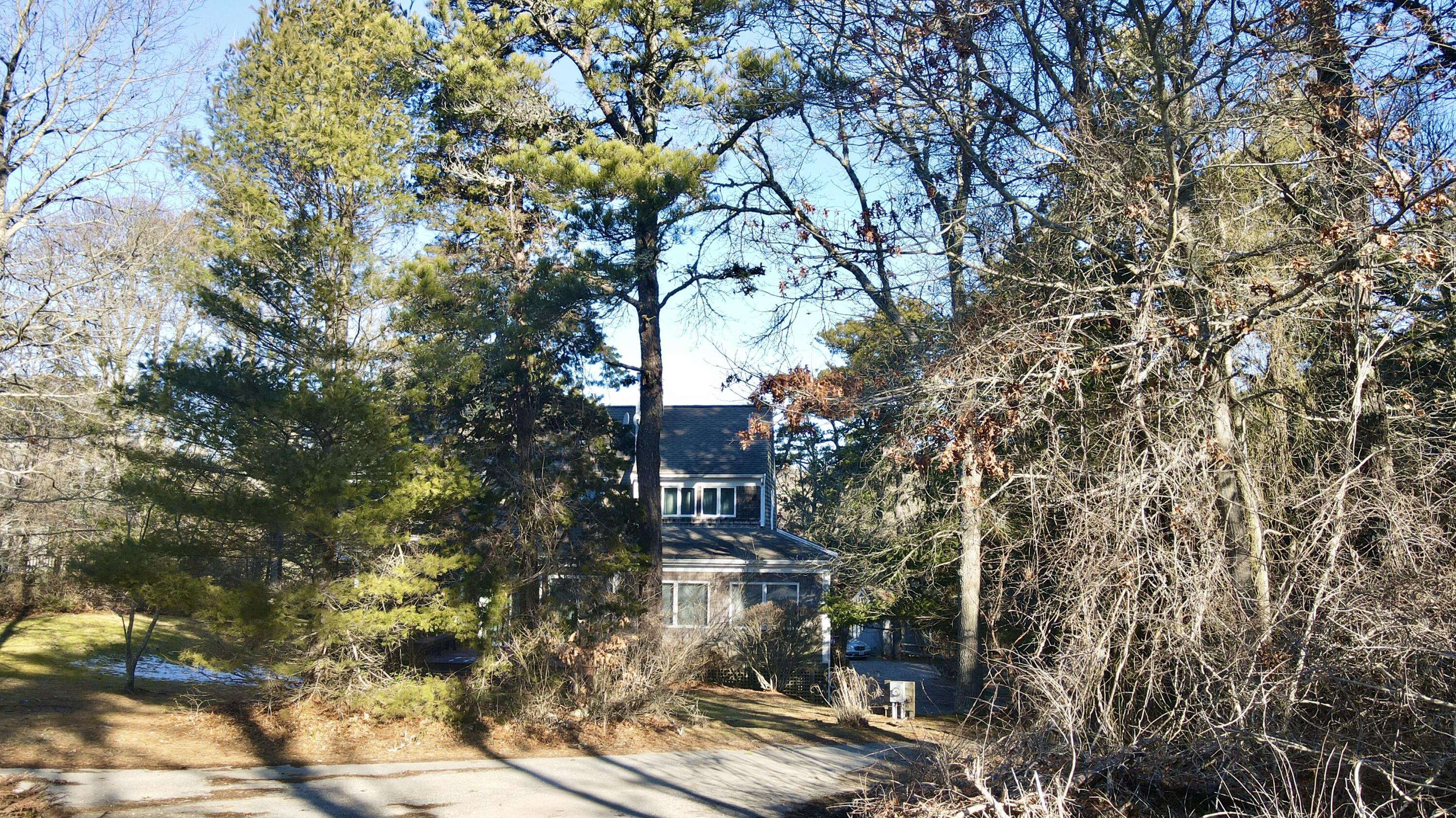 40 Chestnut Drive Orleans, MA 02653 - Photo 36 of 40 a picture of trees