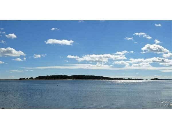 40 Chestnut Drive Orleans, MA 02653 - Photo 40 of 40 a black and white photo of a lake