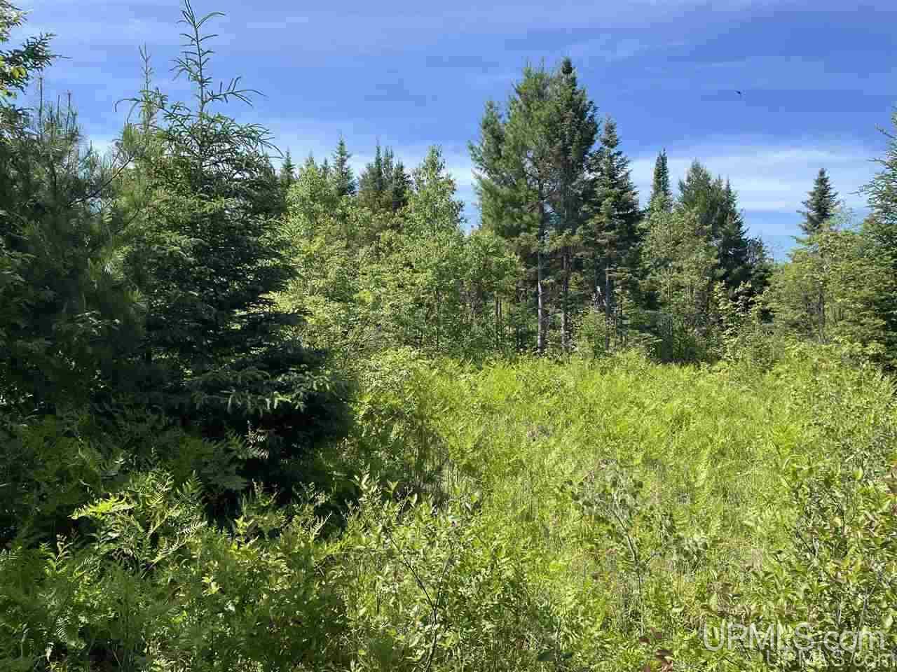 Tbd Off Cooks Lake Road, Unit 1 Wetmore, MI 49895 - Photo 1 of 19