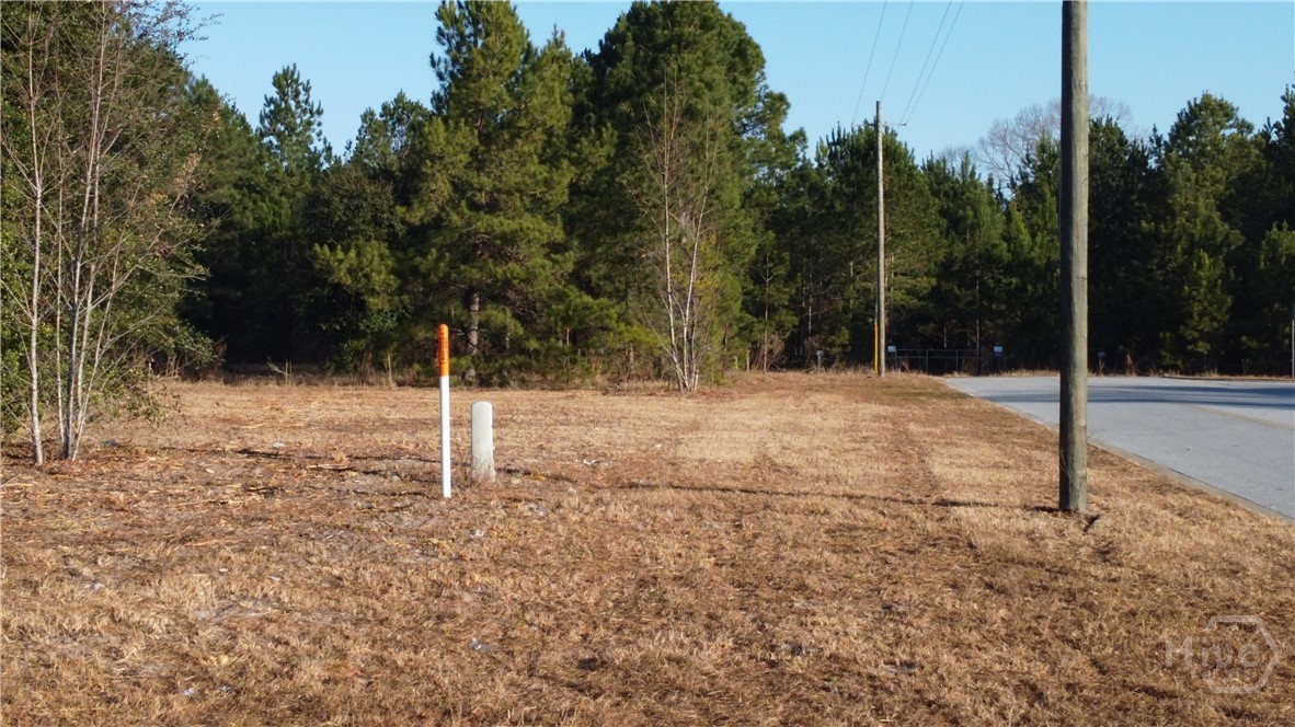 110 Lily Way Highway South Springfield, GA 31329 - Photo 1 of 1