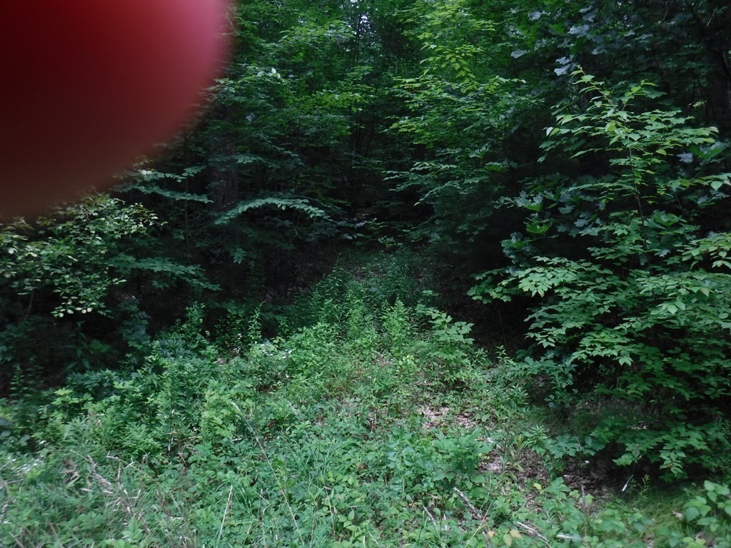 Lot 4 Lower Hampden Road Monson, MA 01057 - Photo 2 of 6 Gallery Image 2