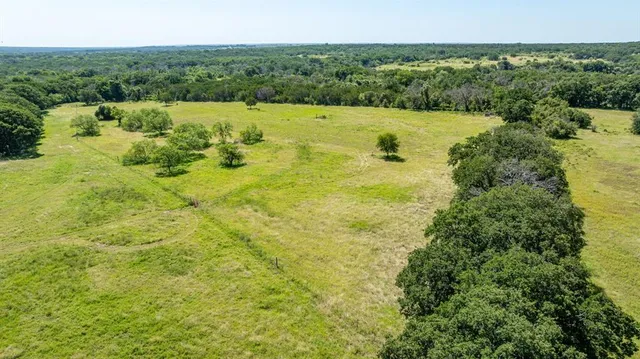 a view of an ocean from a yard