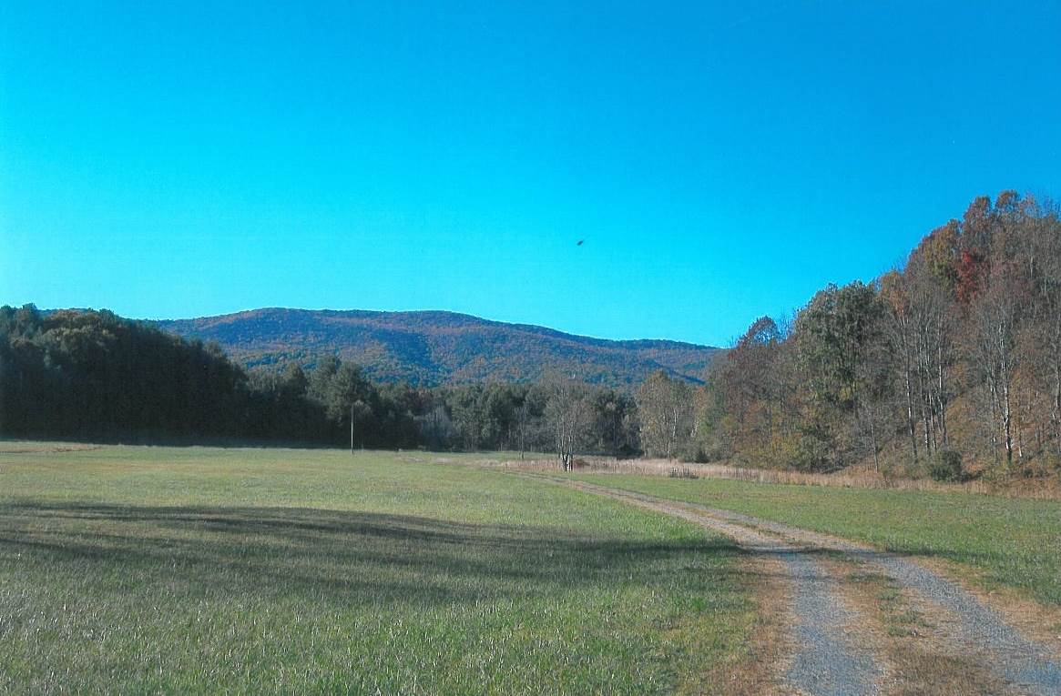 1750 Valley High Road Monterey, VA 24465 - Photo 38 of 41 Gallery Image 38