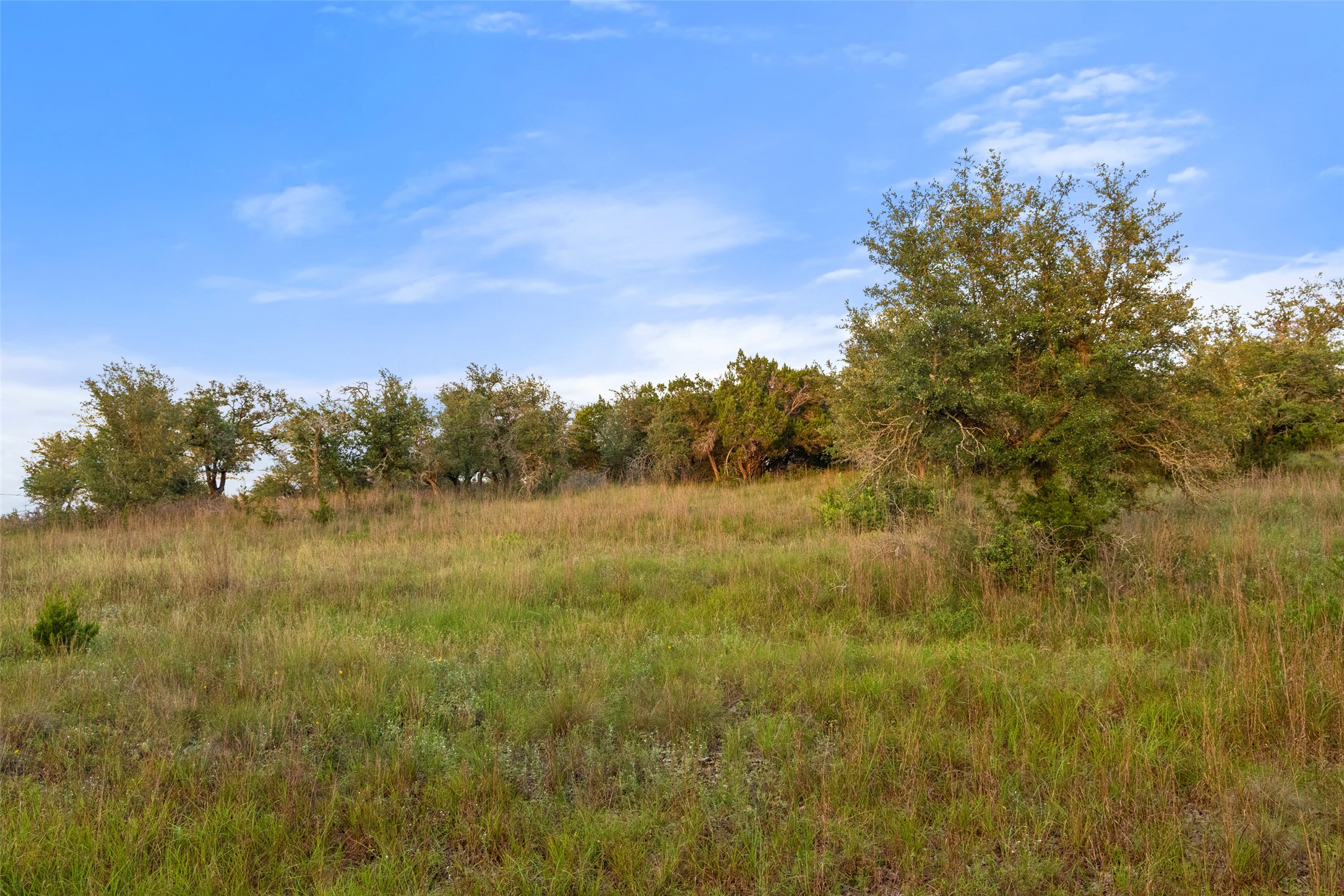 32000 Mirela Ann Road Dripping Springs, TX 78620 - Photo 6 of 12