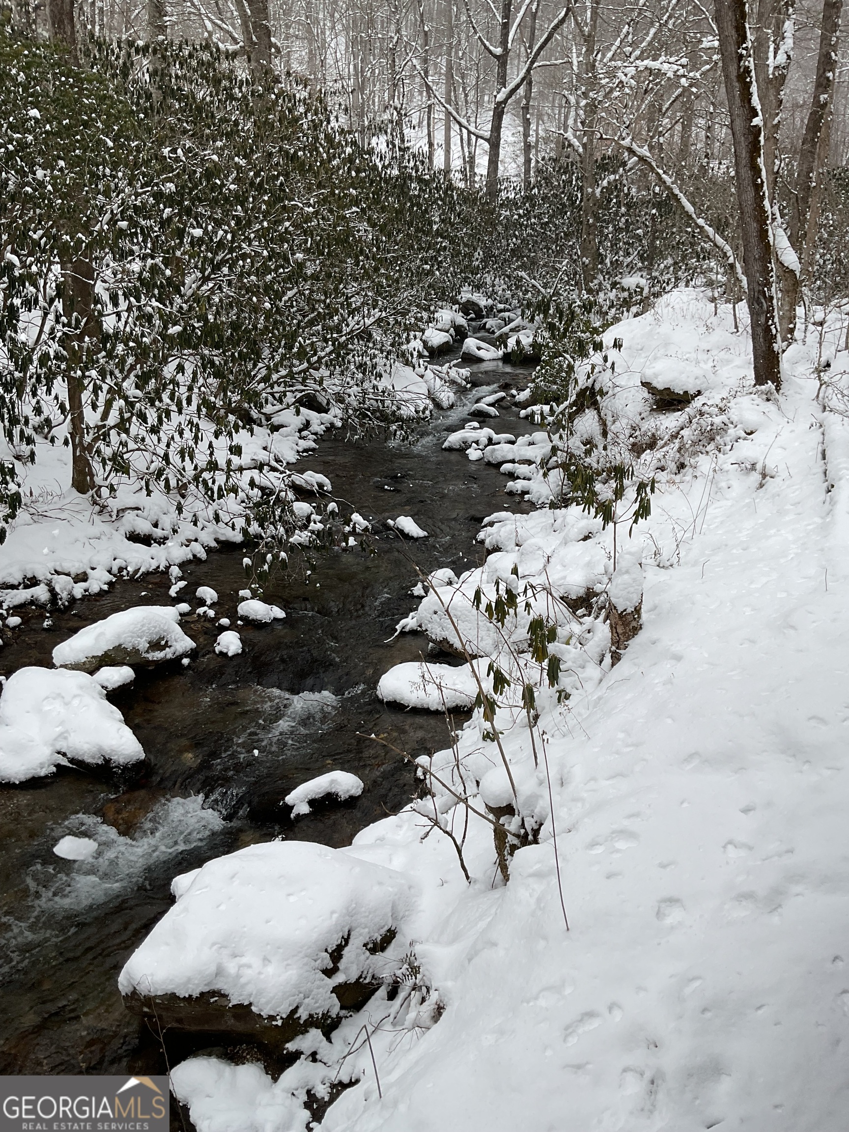 0 Big Creek Road Otto, NC 28763 - Photo 3 of 10