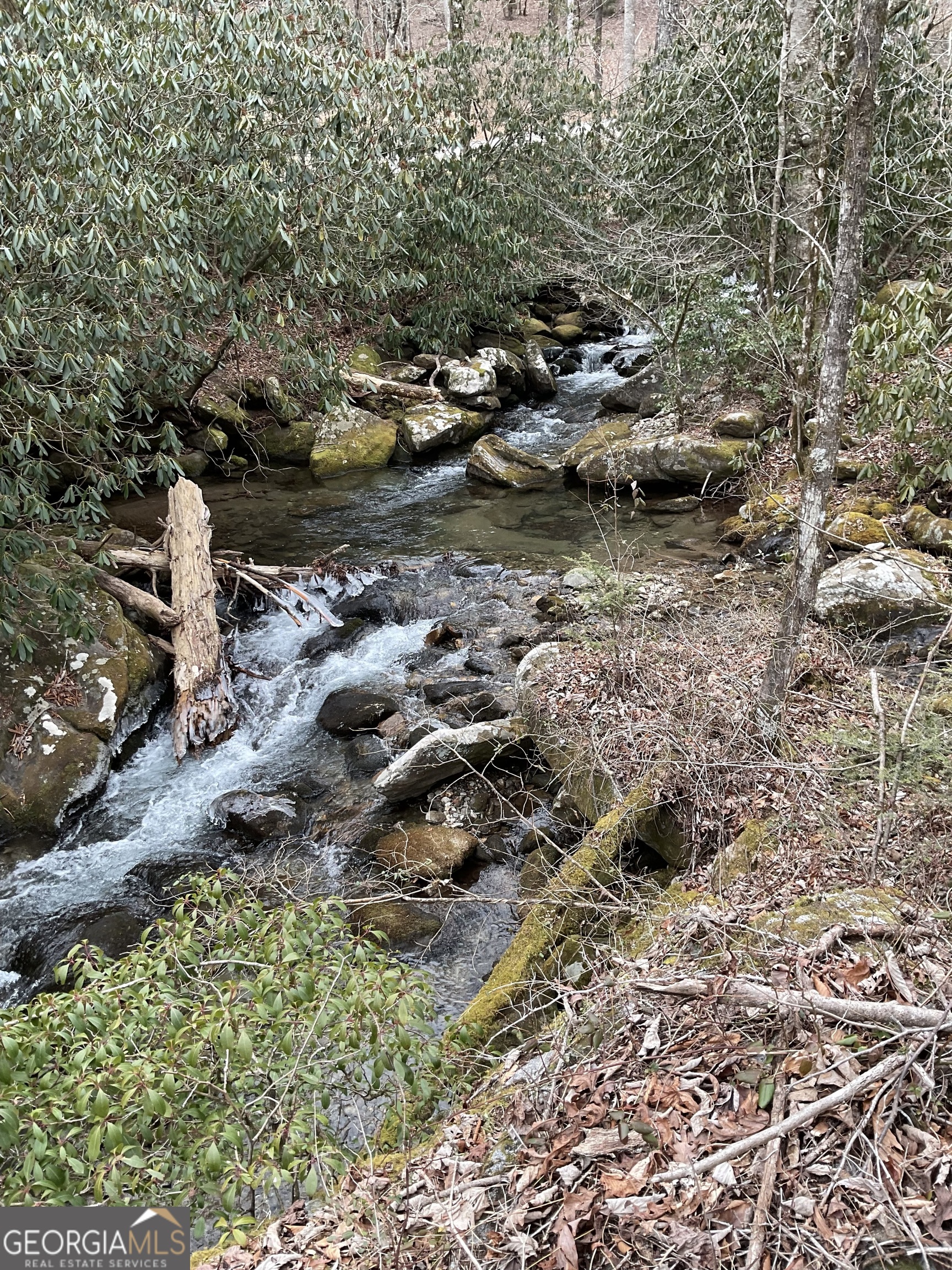 0 Big Creek Road Otto, NC 28763 - Photo 4 of 10