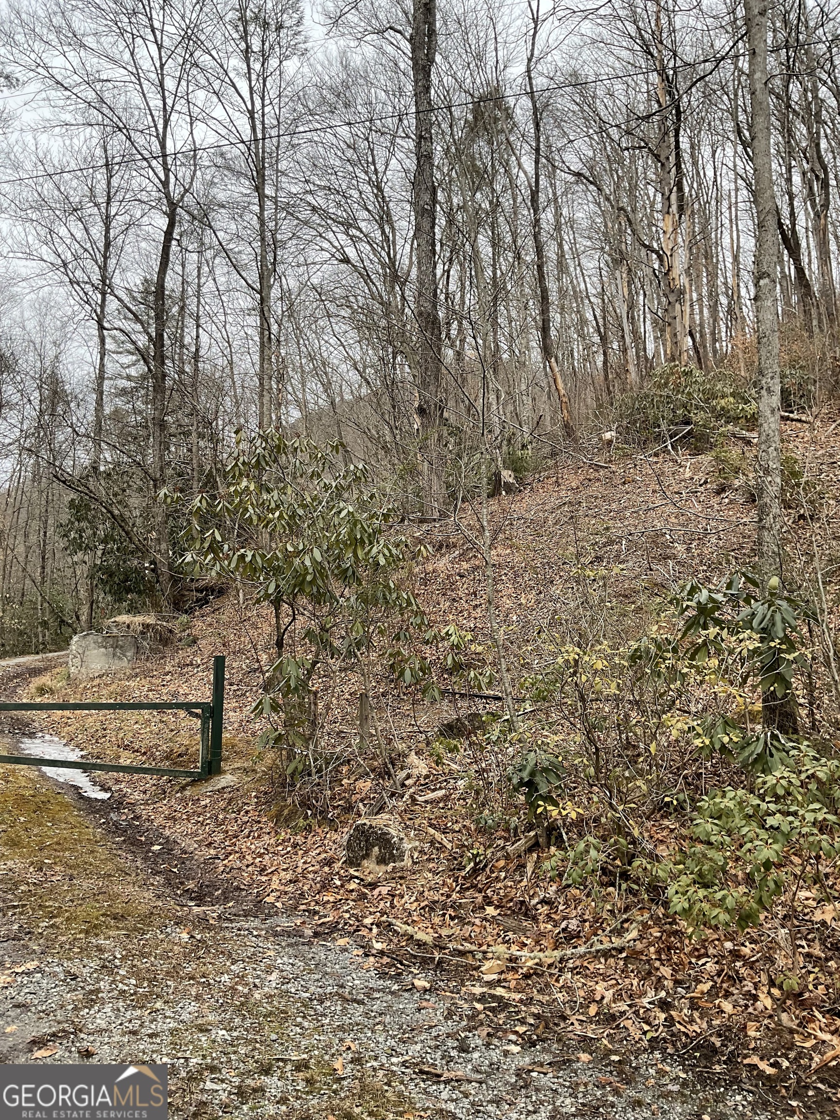 0 Big Creek Road Otto, NC 28763 - Photo 5 of 10