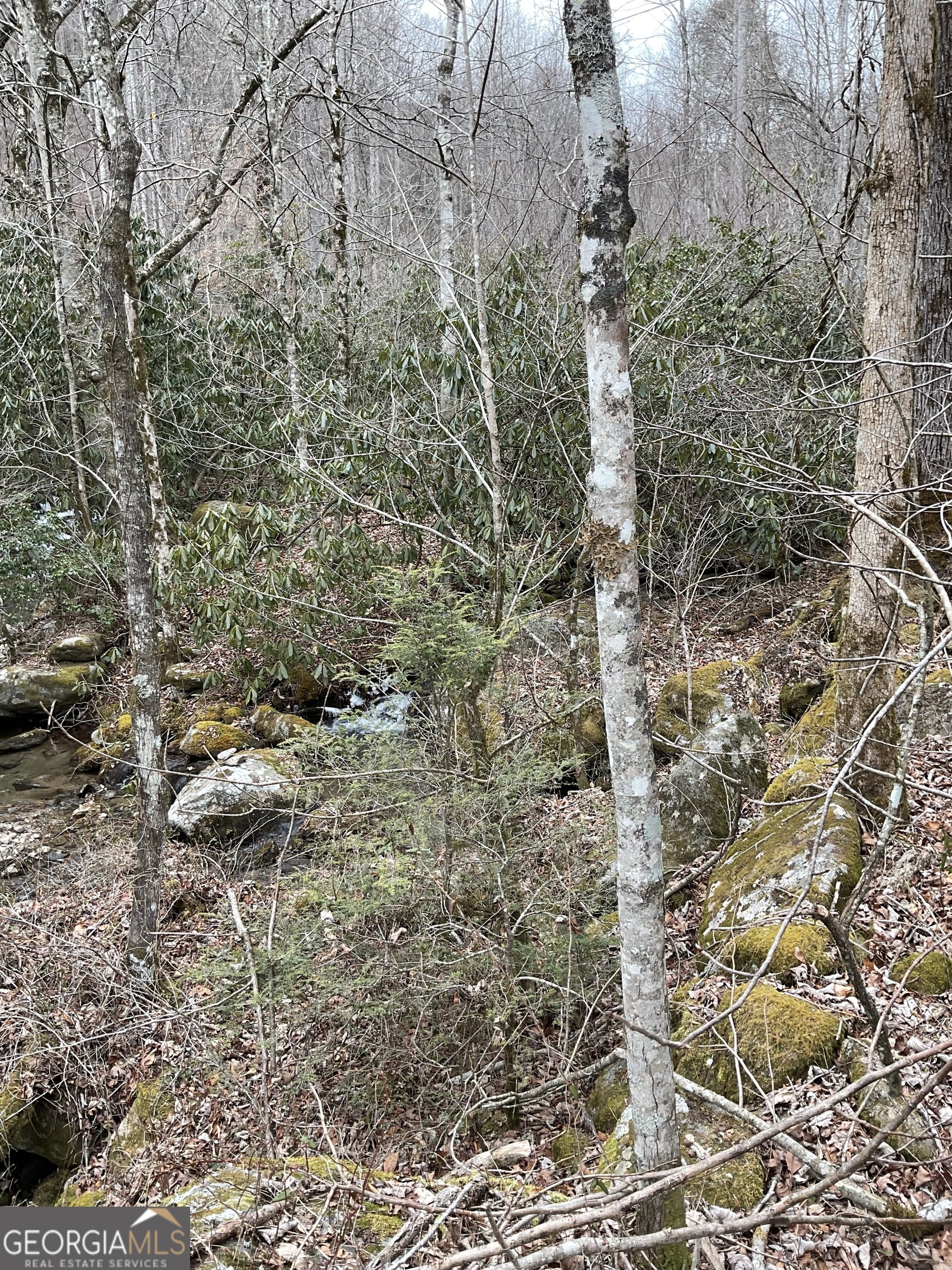 0 Big Creek Road Otto, NC 28763 - Photo 6 of 10