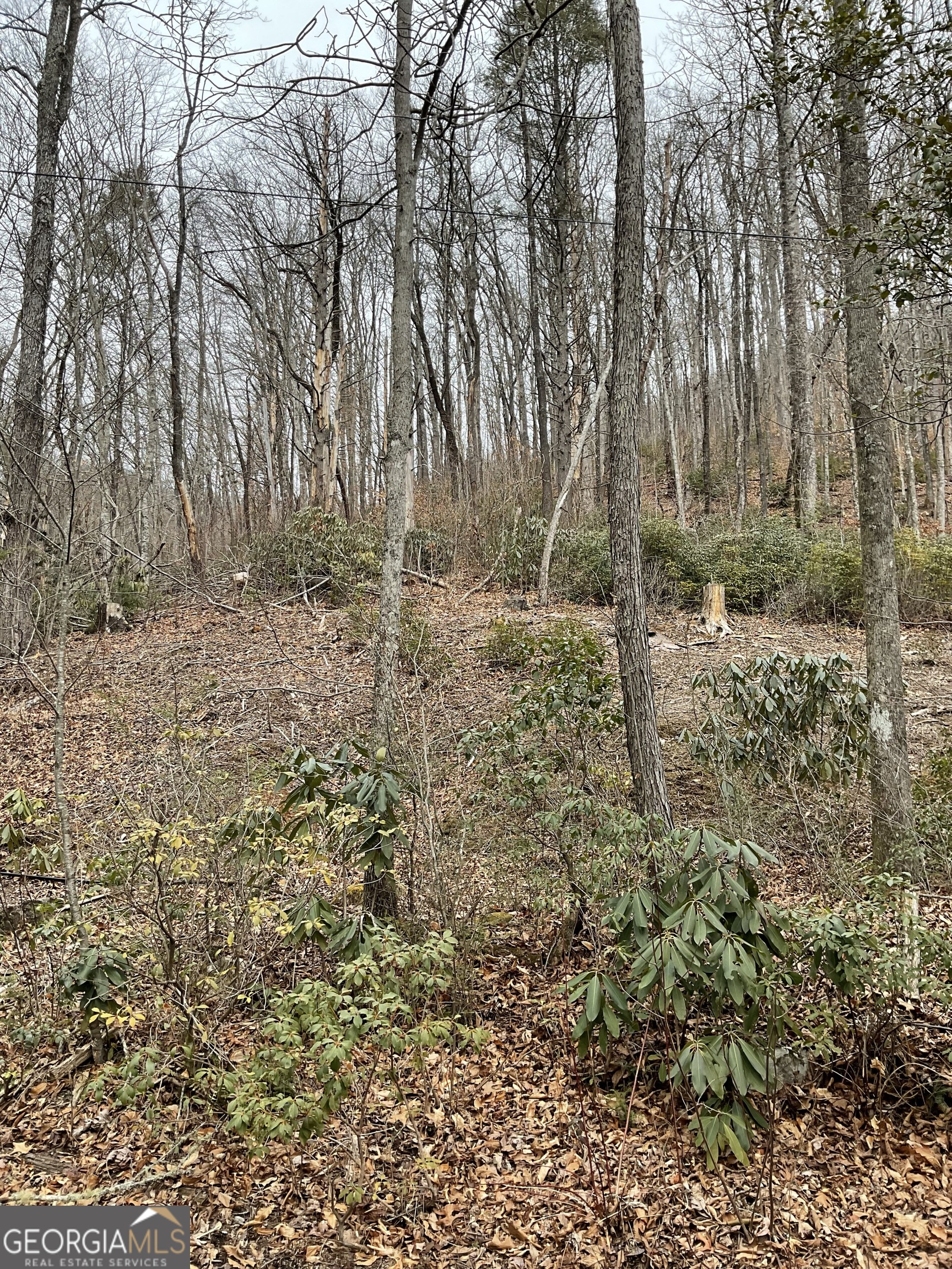 0 Big Creek Road Otto, NC 28763 - Photo 7 of 10