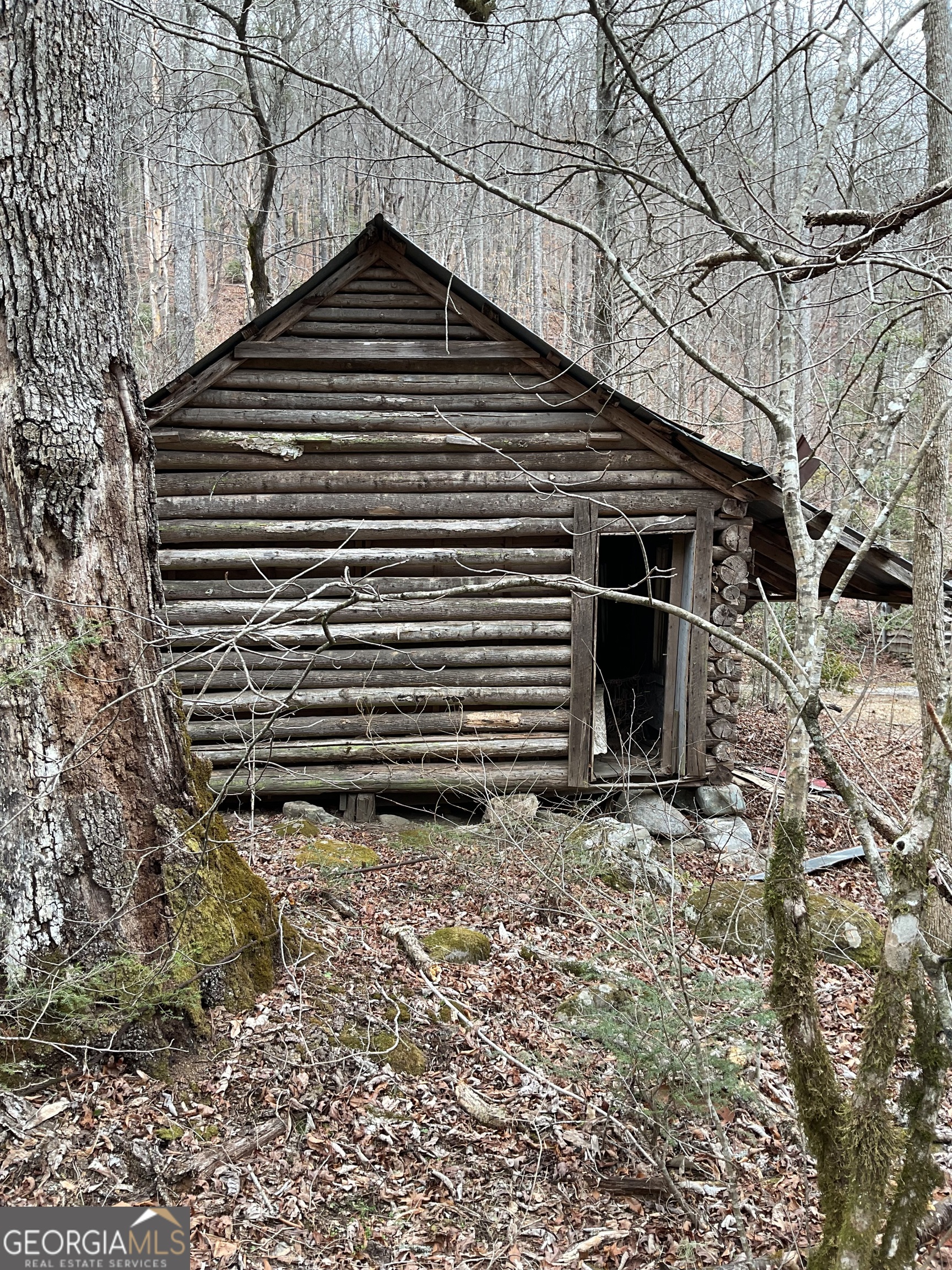 0 Big Creek Road Otto, NC 28763 - Photo 10 of 10