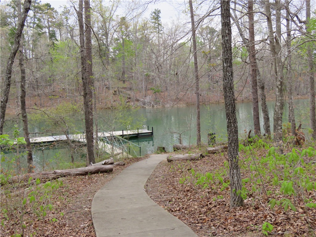 1433 Harts Ridge Drive Seneca, SC 29678 - Photo 13 of 28 Gallery Image 13