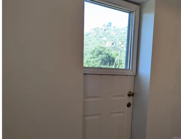 a view of a tree in a yard