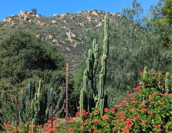 $1,155,000 | 3333 Suncrest Boulevard, El Cajon, CA 92019