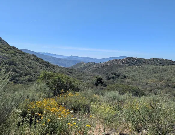 a view of a lush green hillside and a mountain
