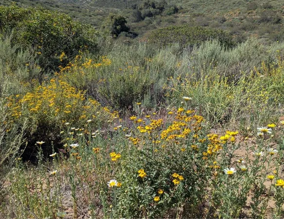 $1,155,000 | 3333 Suncrest Boulevard, El Cajon, CA 92019