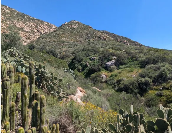 a view of a mountain range with trees in the background