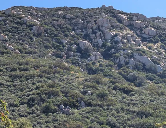 a sign that is sitting in front of a house
