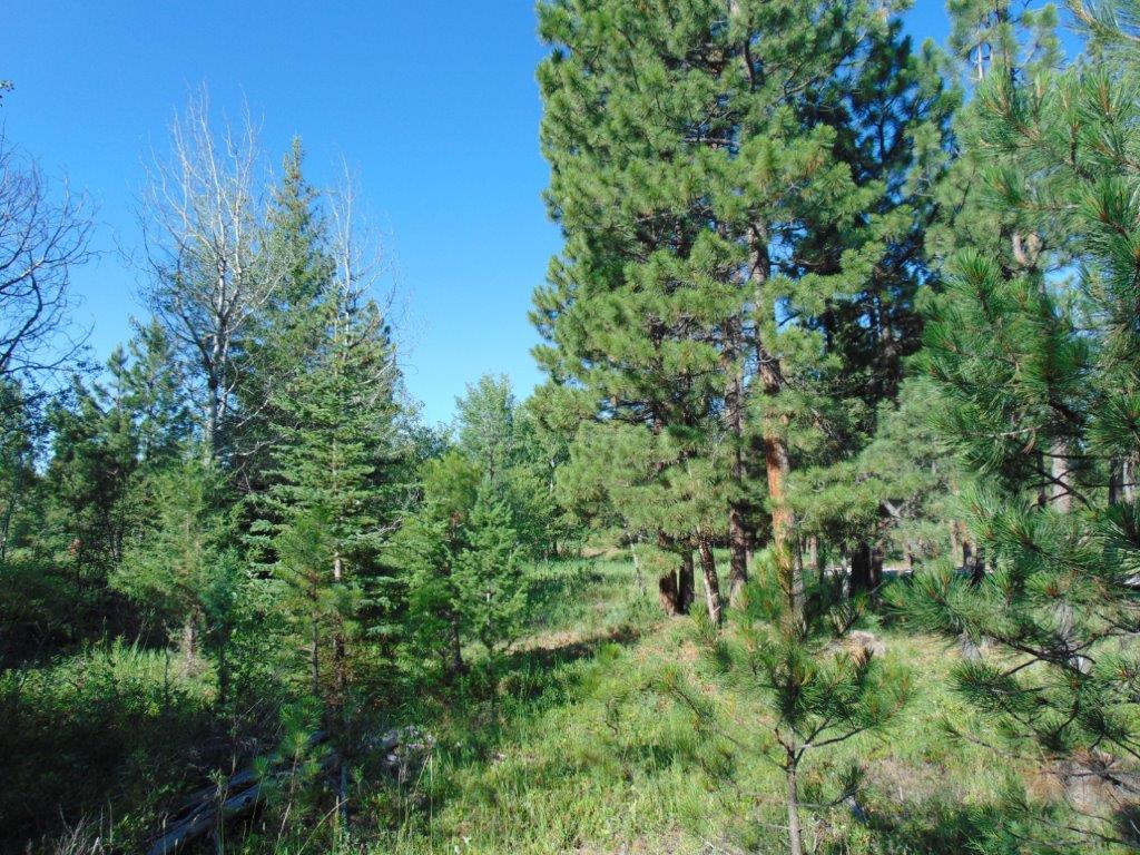 4615 Abe Lincoln Road Lincoln, MT 59639 - Photo 86 of 92 Gallery Image 86