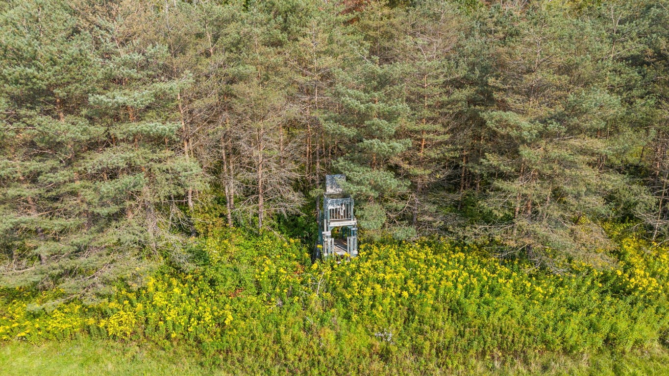 268 Ashley Road Maine, NY 13802 - Photo 45 of 46 Gallery Image 45