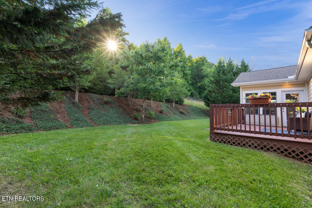 505 Bugaboo Springs Road Jonesborough, TN 37659 - Photo 40 of 53 imageedit_32_9770735121