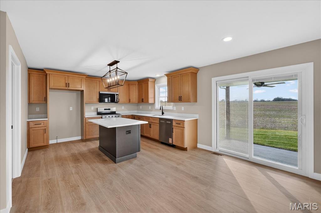 1228 Belclare Court O'Fallon, IL 62269 - Photo 14 of 42