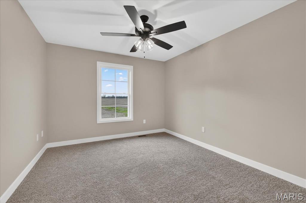 1228 Belclare Court O'Fallon, IL 62269 - Photo 22 of 42