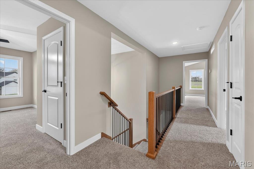 1228 Belclare Court O'Fallon, IL 62269 - Photo 24 of 42