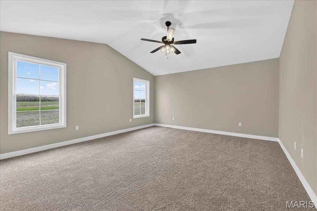 1228 Belclare Court O'Fallon, IL 62269 - Photo 27 of 42