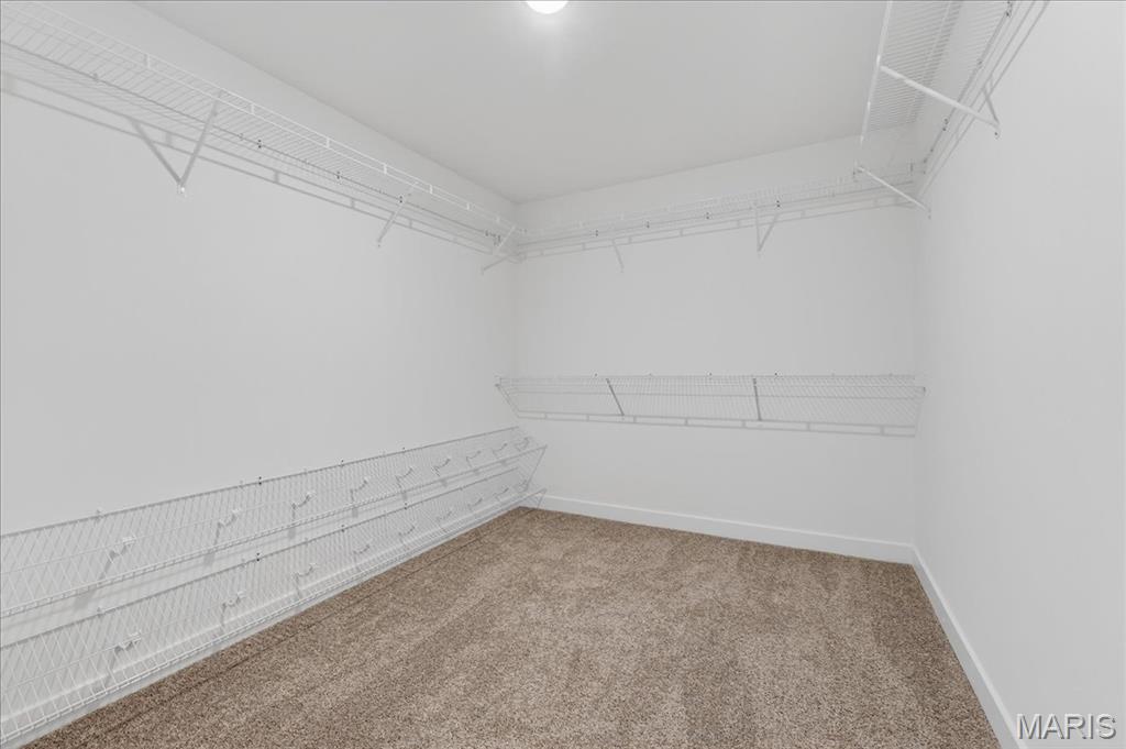 1228 Belclare Court O'Fallon, IL 62269 - Photo 29 of 42