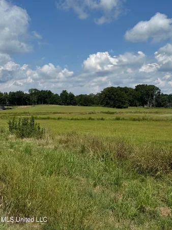 $80,000 | C4 Ms-16, Benton, MS 39039