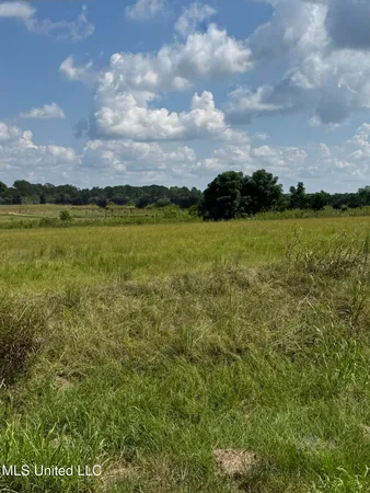 $80,000 | C4 Ms-16, Benton, MS 39039