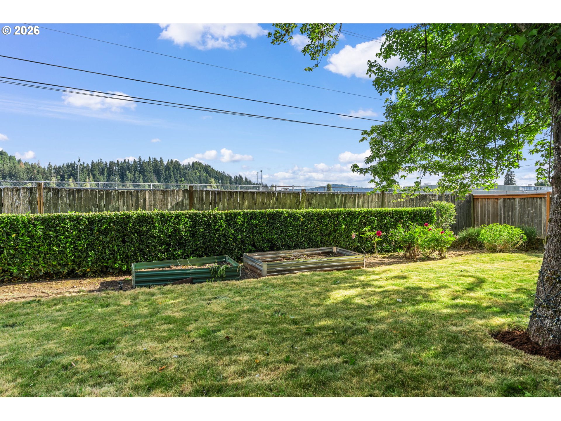 6001 E Street Springfield, OR 97478 - Photo 37 of 46 Backyard